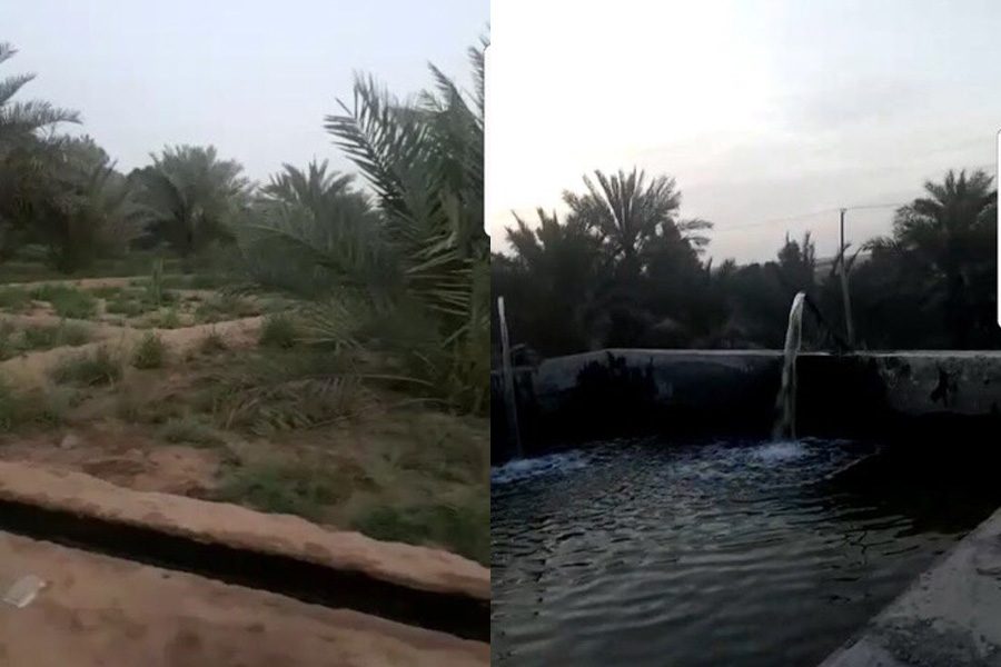 Al habab