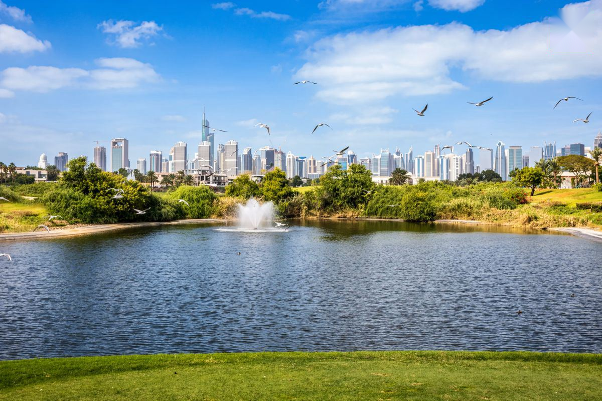 Plot for Sale in Emirates Living