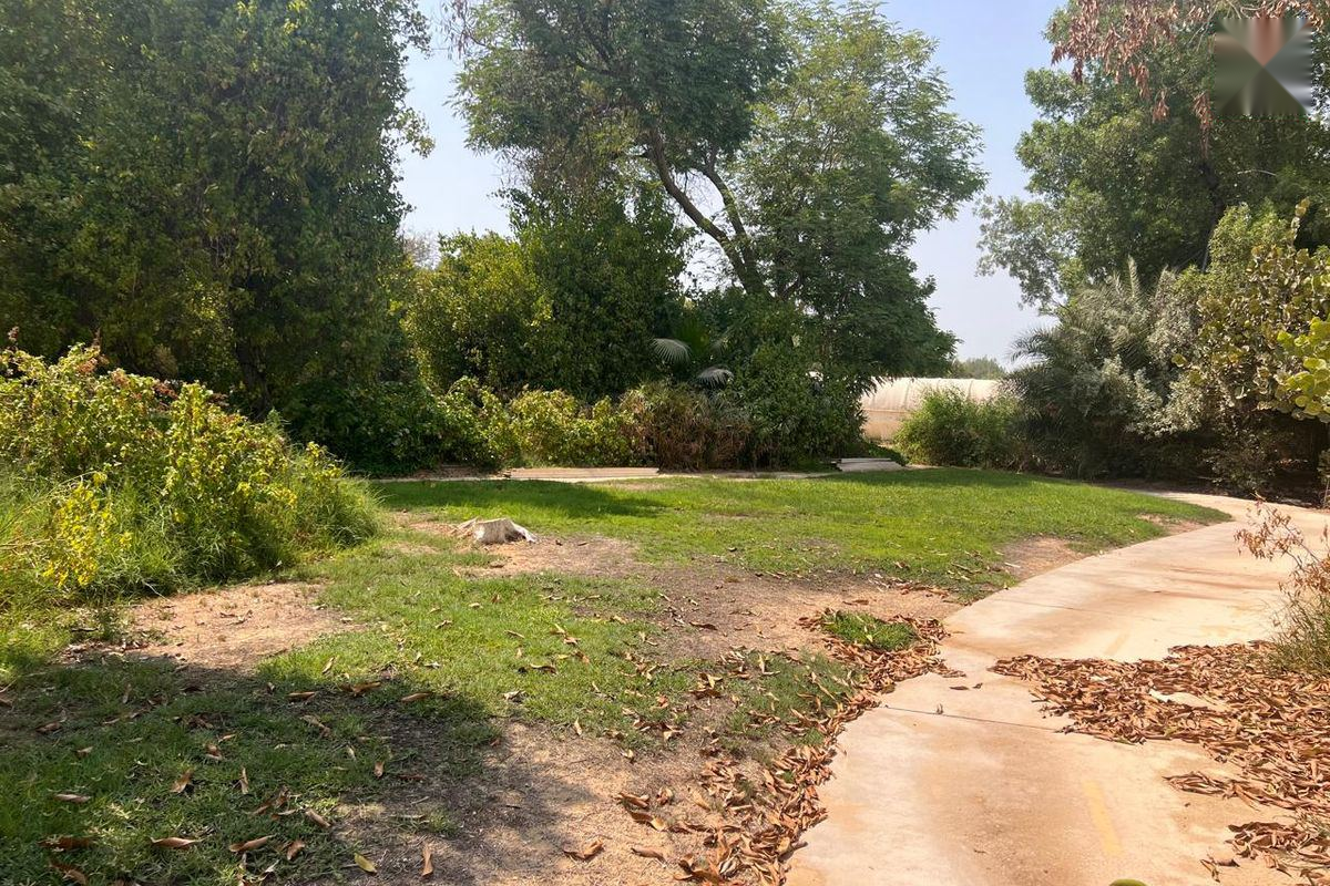 Plot for Sale in Al Barari